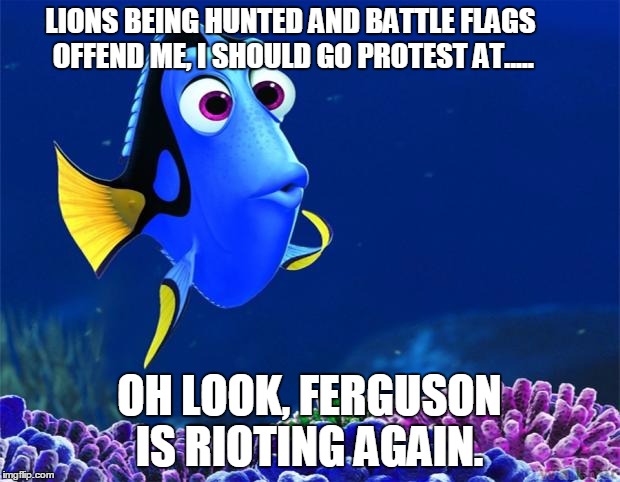 Dory | LIONS BEING HUNTED AND BATTLE FLAGS OFFEND ME, I SHOULD GO PROTEST AT..... OH LOOK, FERGUSON IS RIOTING AGAIN. | image tagged in dory,funny | made w/ Imgflip meme maker