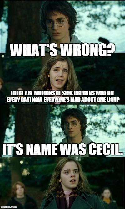 Seriously guys, a vicious Monster over Innocent Children? | WHAT'S WRONG? THERE ARE MILLIONS OF SICK ORPHANS WHO DIE EVERY DAY! NOW EVERYONE'S MAD ABOUT ONE LION? IT'S NAME WAS CECIL. | image tagged in memes | made w/ Imgflip meme maker