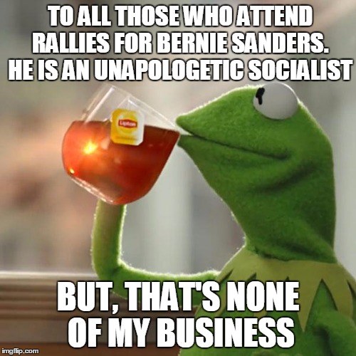 America is still ruled by the Constitution ya know???? | TO ALL THOSE WHO ATTEND RALLIES FOR BERNIE SANDERS. HE IS AN UNAPOLOGETIC SOCIALIST BUT, THAT'S NONE OF MY BUSINESS | image tagged in memes,but thats none of my business,kermit the frog | made w/ Imgflip meme maker