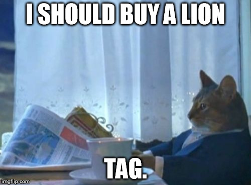 I Should Buy A Boat Cat | I SHOULD BUY A LION TAG. | image tagged in memes,i should buy a boat cat | made w/ Imgflip meme maker