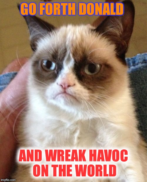 Grumpy Cat sends messenger Donald T. | GO FORTH DONALD AND WREAK HAVOC ON THE WORLD | image tagged in memes,grumpy cat | made w/ Imgflip meme maker