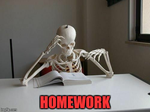 death by studying | HOMEWORK | image tagged in death by studying | made w/ Imgflip meme maker