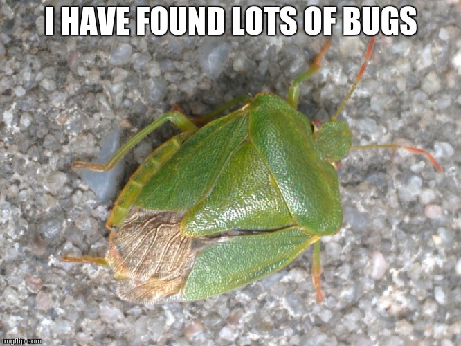 I HAVE FOUND
LOTS OF BUGS | made w/ Imgflip meme maker