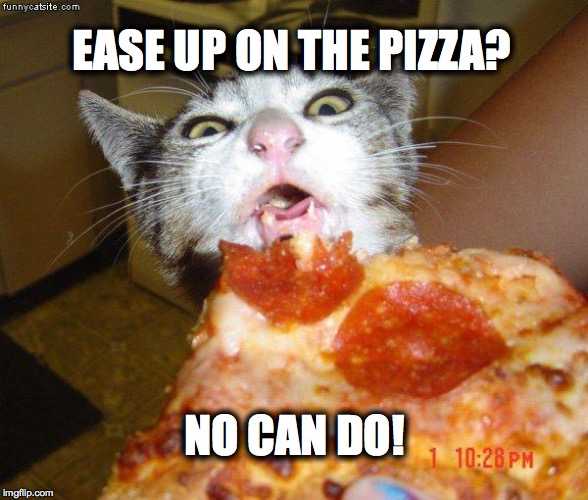 Pizza Cat | EASE UP ON THE PIZZA? NO CAN DO! | image tagged in pizza cat | made w/ Imgflip meme maker