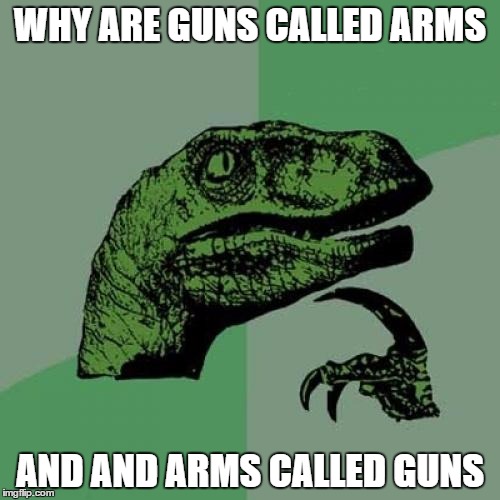 Philosoraptor Meme | WHY ARE GUNS CALLED ARMS AND AND ARMS CALLED GUNS | image tagged in memes,philosoraptor | made w/ Imgflip meme maker