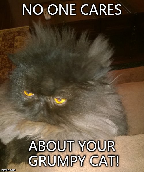 No one cares about grumpy cat! | NO ONE CARES ABOUT YOUR GRUMPY CAT! | image tagged in grumpy cat,no one cares,cats | made w/ Imgflip meme maker