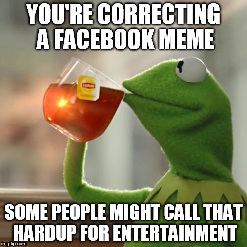 But That's None Of My Business | YOU'RE CORRECTING A FACEBOOK MEME SOME PEOPLE MIGHT CALL THAT HARDUP FOR ENTERTAINMENT | image tagged in memes,but thats none of my business,kermit the frog | made w/ Imgflip meme maker