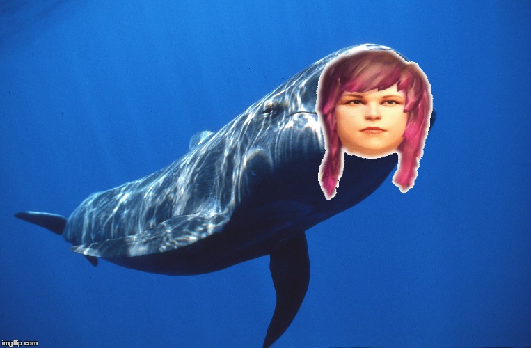 Life is Whale | image tagged in whale | made w/ Imgflip meme maker