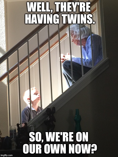 Twins | WELL, THEY'RE HAVING TWINS. SO, WE'RE ON OUR OWN NOW? | image tagged in twins | made w/ Imgflip meme maker