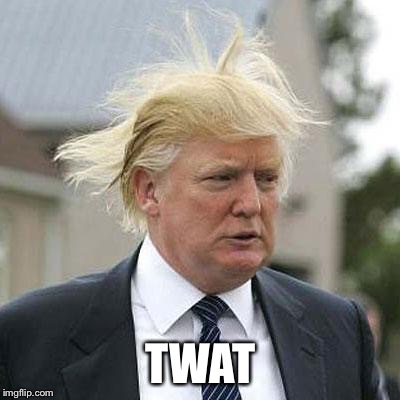 Donald Trump | TWAT | image tagged in donald trump | made w/ Imgflip meme maker