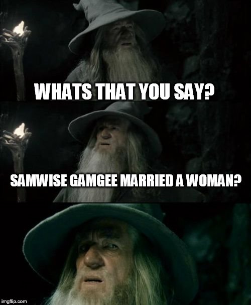 Confused Gandalf | WHATS THAT YOU SAY? SAMWISE GAMGEE MARRIED A WOMAN? | image tagged in memes,confused gandalf | made w/ Imgflip meme maker