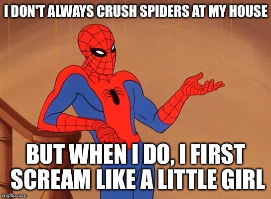 Spiderman gets real | I DON'T ALWAYS CRUSH SPIDERS AT MY HOUSE BUT WHEN I DO, I FIRST SCREAM LIKE A LITTLE GIRL | image tagged in you know why i'm here spiderman,memes | made w/ Imgflip meme maker