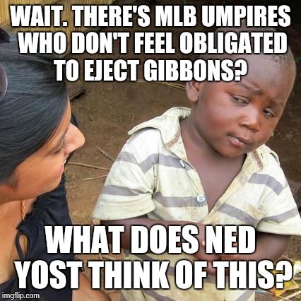 Third World Skeptical Kid | WAIT. THERE'S MLB UMPIRES WHO DON'T FEEL OBLIGATED TO EJECT GIBBONS? WHAT DOES NED YOST THINK OF THIS? | image tagged in memes,third world skeptical kid | made w/ Imgflip meme maker