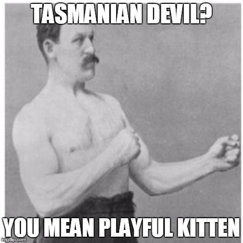 Overly Manly Man Meme | TASMANIAN DEVIL? YOU MEAN PLAYFUL KITTEN | image tagged in memes,overly manly man | made w/ Imgflip meme maker