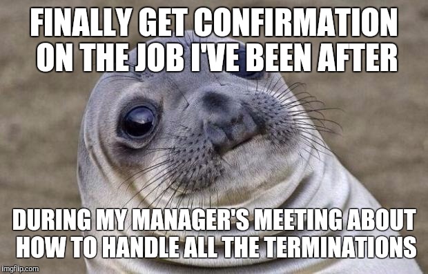 Awkward Moment Sealion | FINALLY GET CONFIRMATION ON THE JOB I'VE BEEN AFTER DURING MY MANAGER'S MEETING ABOUT HOW TO HANDLE ALL THE TERMINATIONS | image tagged in memes,awkward moment sealion,AdviceAnimals | made w/ Imgflip meme maker