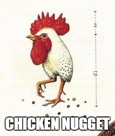 Chicken Nugget | CHICKEN NUGGET | image tagged in chicken nugget head codex seraphinianus a e i o u | made w/ Imgflip meme maker