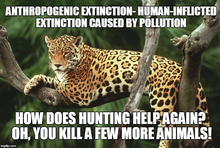 ANTHROPOGENIC EXTINCTION- HUMAN-INFLICTED EXTINCTION CAUSED BY POLLUTION HOW DOES HUNTING HELP AGAIN? OH, YOU KILL A FEW MORE ANIMALS! | image tagged in hunting | made w/ Imgflip meme maker