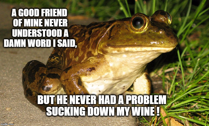jeremiah | A GOOD FRIEND OF MINE NEVER UNDERSTOOD A DAMN WORD I SAID, BUT HE NEVER HAD A PROBLEM SUCKING DOWN MY WINE ! | image tagged in jeremiah | made w/ Imgflip meme maker