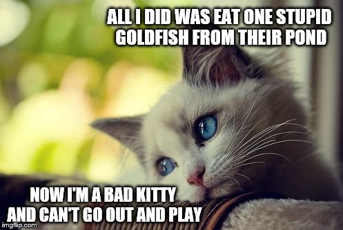 First World Problems Cat Meme | ALL I DID WAS EAT ONE STUPID GOLDFISH FROM THEIR POND NOW I'M A BAD KITTY AND CAN'T GO OUT AND PLAY | image tagged in memes,first world problems cat | made w/ Imgflip meme maker