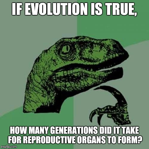 Philosoraptor Meme | IF EVOLUTION IS TRUE, HOW MANY GENERATIONS DID IT TAKE FOR REPRODUCTIVE ORGANS TO FORM? | image tagged in memes,philosoraptor | made w/ Imgflip meme maker