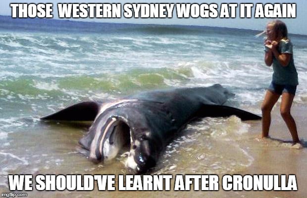 THOSE  WESTERN SYDNEY WOGS AT IT AGAIN WE SHOULD'VE LEARNT AFTER CRONULLA | made w/ Imgflip meme maker