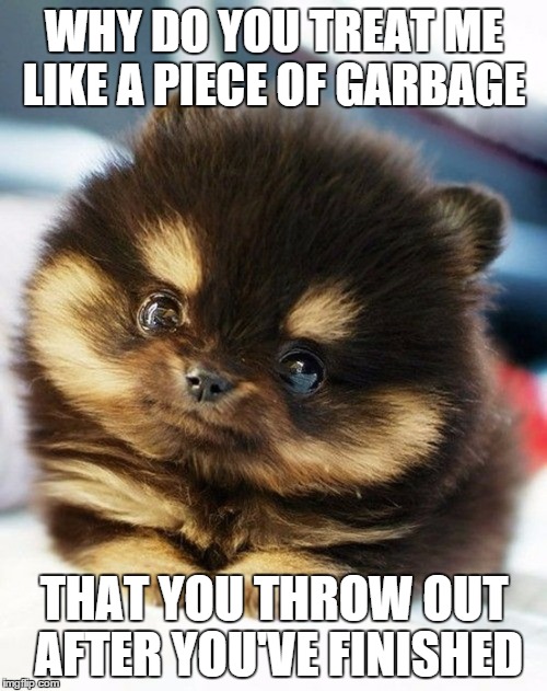 cute eyes animal | WHY DO YOU TREAT ME LIKE A PIECE OF GARBAGE THAT YOU THROW OUT AFTER YOU'VE FINISHED | image tagged in cute eyes animal | made w/ Imgflip meme maker