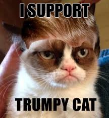 I SUPPORT | made w/ Imgflip meme maker