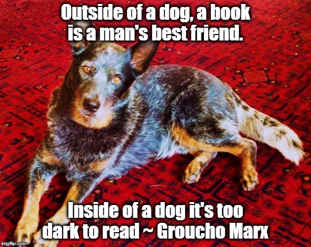 image tagged in groucho marx,dogs | made w/ Imgflip meme maker