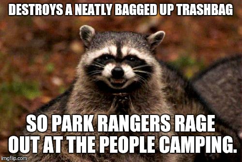 Evil Plotting Raccoon | DESTROYS A NEATLY BAGGED UP TRASHBAG SO PARK RANGERS RAGE OUT AT THE PEOPLE CAMPING. | image tagged in memes,evil plotting raccoon,AdviceAnimals | made w/ Imgflip meme maker