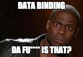Kevin Hart | DATA BINDING DA FU**** IS THAT? | image tagged in memes,kevin hart the hell | made w/ Imgflip meme maker