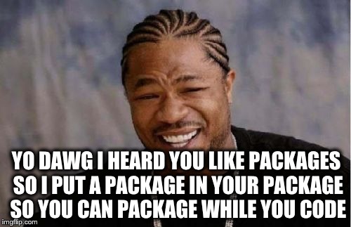 Yo Dawg Heard You Meme | YO DAWG I HEARD YOU LIKE PACKAGES SO I PUT A PACKAGE IN YOUR PACKAGE SO YOU CAN PACKAGE WHILE YOU CODE | image tagged in memes,yo dawg heard you | made w/ Imgflip meme maker