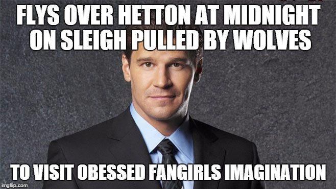 David Boreanaz | FLYS OVER HETTON AT MIDNIGHT ON SLEIGH PULLED BY WOLVES TO VISIT OBESSED FANGIRLS IMAGINATION | image tagged in david boreanaz | made w/ Imgflip meme maker