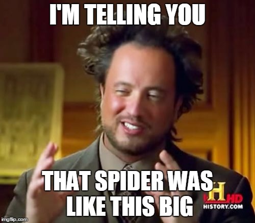 Ancient Aliens | I'M TELLING YOU THAT SPIDER WAS LIKE THIS BIG | image tagged in memes,ancient aliens | made w/ Imgflip meme maker