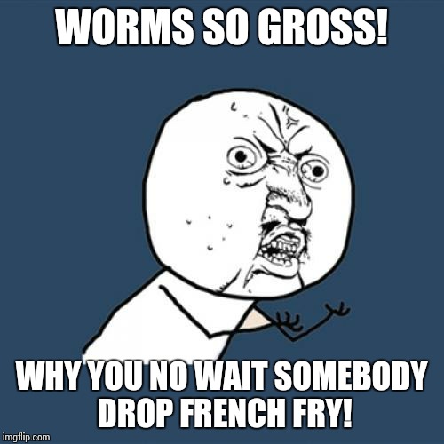 Y U No Meme | WORMS SO GROSS! WHY YOU NO WAIT SOMEBODY DROP FRENCH FRY! | image tagged in memes,y u no | made w/ Imgflip meme maker