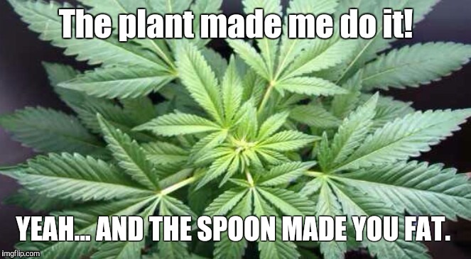 The plant made me do it | YEAH… AND THE SPOON MADE YOU FAT. | image tagged in weed | made w/ Imgflip meme maker