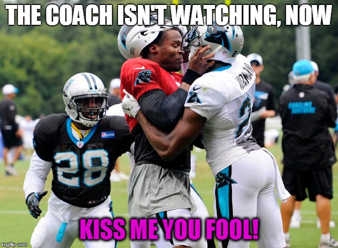 Cam Newton | THE COACH ISN'T WATCHING, NOW KISS ME YOU FOOL! | image tagged in nfl | made w/ Imgflip meme maker