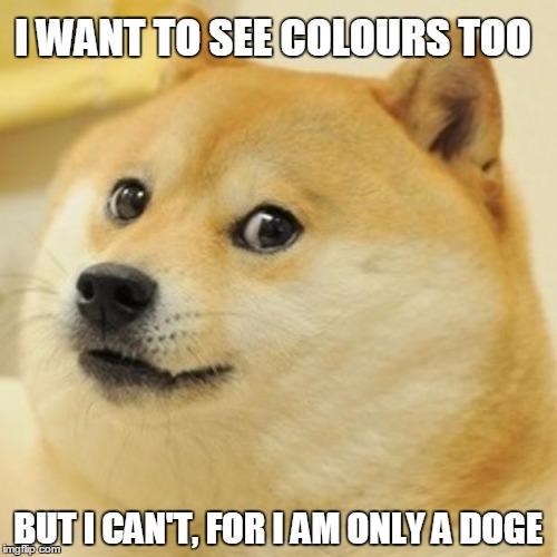 Doge Meme | I WANT TO SEE COLOURS TOO BUT I CAN'T, FOR I AM ONLY A DOGE | image tagged in memes,doge | made w/ Imgflip meme maker