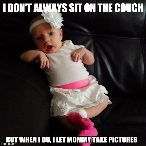I DON'T ALWAYS SIT ON THE COUCH BUT WHEN I DO, I LET MOMMY TAKE PICTURES | image tagged in zoey | made w/ Imgflip meme maker