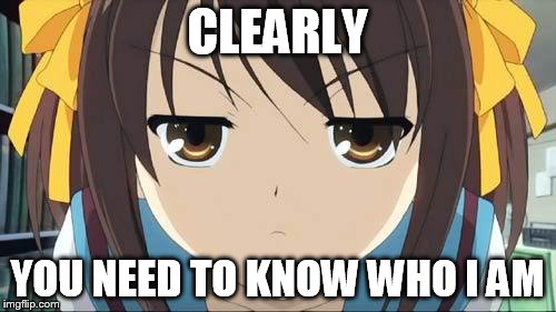 Haruhi stare | CLEARLY YOU NEED TO KNOW WHO I AM | image tagged in haruhi stare | made w/ Imgflip meme maker