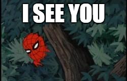 spiderman in bushes | I SEE YOU | image tagged in spiderman in bushes | made w/ Imgflip meme maker