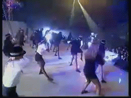 whitegirlgettingdownlikeaG | image tagged in gifs | made w/ Imgflip video-to-gif maker