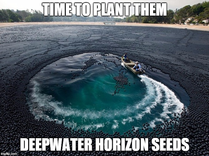 Shade Balls | TIME TO PLANT THEM DEEPWATER HORIZON SEEDS | image tagged in shade balls | made w/ Imgflip meme maker