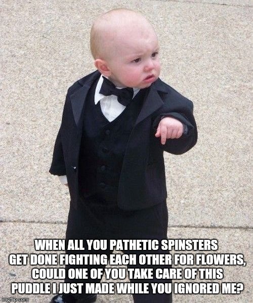 Baby Godfather Meme | WHEN ALL YOU PATHETIC SPINSTERS GET DONE FIGHTING EACH OTHER FOR FLOWERS, COULD ONE OF YOU TAKE CARE OF THIS PUDDLE I JUST MADE WHILE YOU IG | image tagged in memes,baby godfather | made w/ Imgflip meme maker