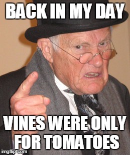 Back In My Day Meme | BACK IN MY DAY VINES WERE ONLY FOR TOMATOES | image tagged in memes,back in my day | made w/ Imgflip meme maker