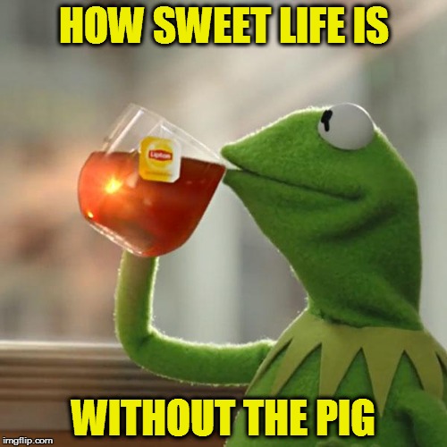 But That's None Of My Business | HOW SWEET LIFE IS WITHOUT THE PIG | image tagged in memes,but thats none of my business,kermit the frog | made w/ Imgflip meme maker