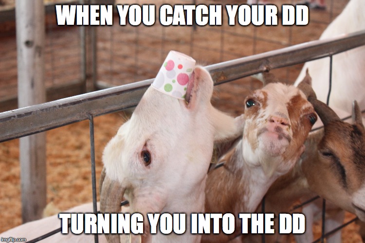 Turnt Up | WHEN YOU CATCH YOUR DD TURNING YOU INTO THE DD | image tagged in turnt up,party | made w/ Imgflip meme maker