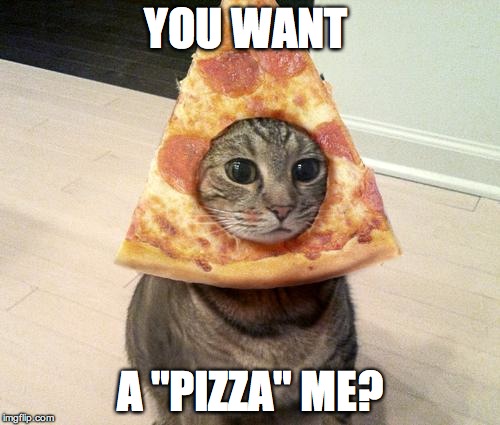 pizza cat | YOU WANT A "PIZZA" ME? | image tagged in pizza cat | made w/ Imgflip meme maker