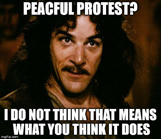 Inigo Montoya | PEACFUL PROTEST? I DO NOT THINK THAT MEANS WHAT YOU THINK IT DOES | image tagged in memes,inigo montoya | made w/ Imgflip meme maker