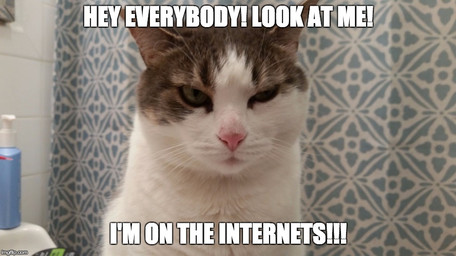 Cat's not havin it | HEY EVERYBODY! LOOK AT ME! I'M ON THE INTERNETS!!! | image tagged in grumpy cat,not impressed | made w/ Imgflip meme maker