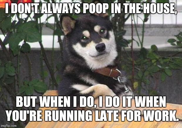 Cool dog | I DON'T ALWAYS POOP IN THE HOUSE, BUT WHEN I DO, I DO IT WHEN YOU'RE RUNNING LATE FOR WORK. | image tagged in cool dog | made w/ Imgflip meme maker